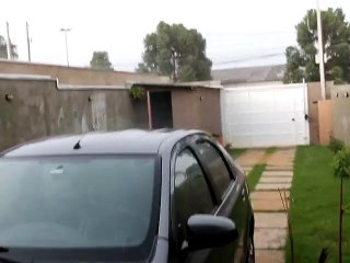 Jardim Do Alliance Chuva De Granizo