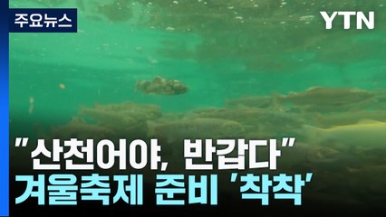 "산천어야, 반갑다"...겨울축제 준비 '착착' / YTN