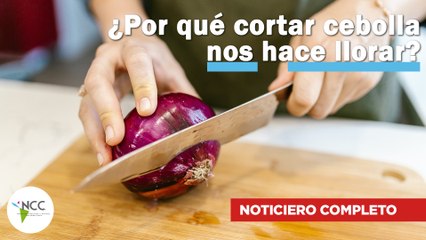 ¿Por qué cortar cebolla nos hace llorar? | 611 | 11 al 17 de diciembre de 2023