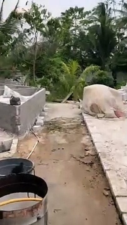Kolam BETON semi TERPAL untuk pembenihan ikan lele, coba tebak ukuran berapa❓