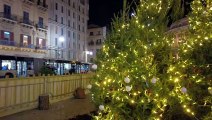 Arriva il Natale a Palermo, acceso l'albero al Politeama