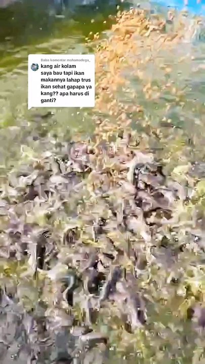 Coba kalian jawab pertanyaan yang ada dalam video ini❗