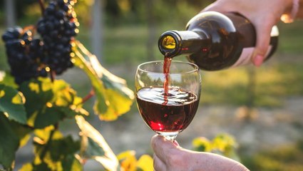 41 Must-Try Cabernet Sauvignons for Your Special Celebrations 🍷