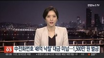 中전화번호 '48억 낙찰' 대금 미납…1,500만원 벌금