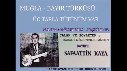 MUĞLA BAYIR TÜRKÜSÜ.ÜÇ TARLA TÜTÜNÜM VAR