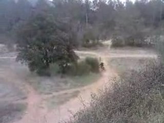 jean michel bayle en wwek end