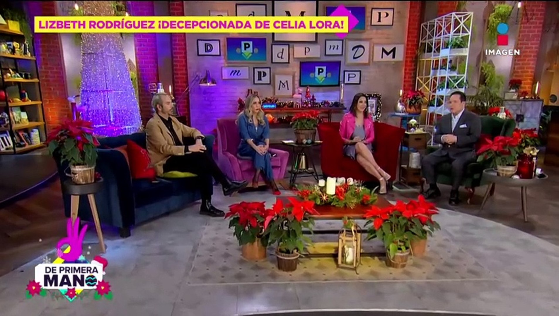 Celia Lora NEGÓ romance con Lizbeth Rodríguez y ella le RESPONDE! - Vídeo  Dailymotion
