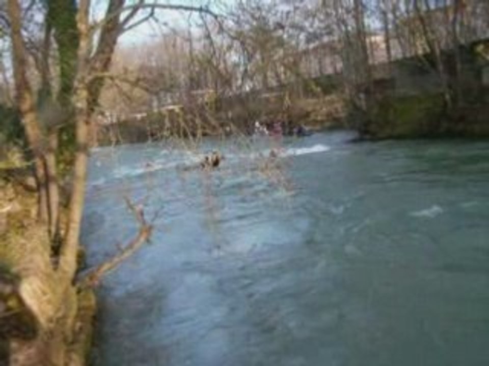 N3 Dijon