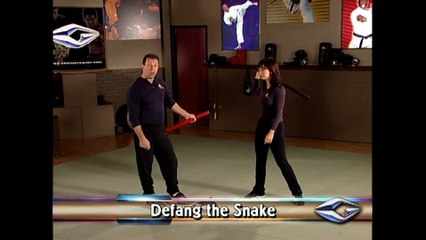 Filipino Weapons Training Vol 2: Advanced with Instructors Ron Balicki & Diana Lee Inosanto