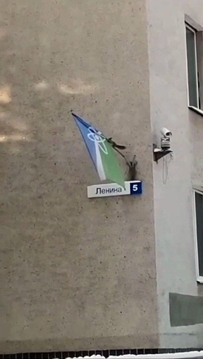 Белка крадёт флаг