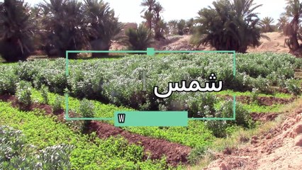 القوة الداخلية في مواجهة الصعاب: رحلة تحفيزية نحو التحديات