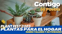 ¿Amante de las PLANTAS? ¡Ven al #PlantFest  en Puebla!