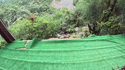 Tirolesa - GoPro Hero 12 Black