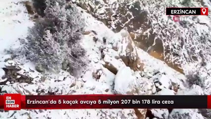 Erzincan'da 5 kaçak avcıya 5 milyon 207 bin 178 lira ceza