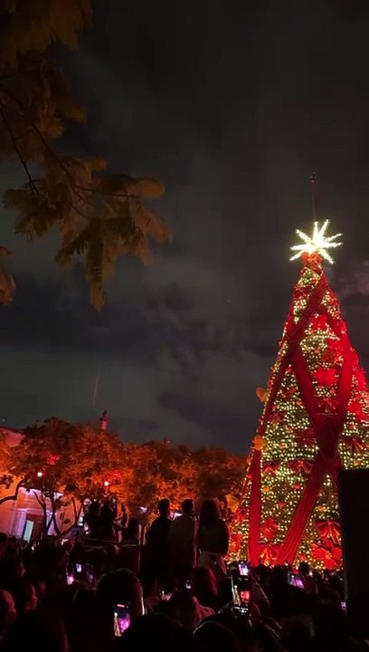 Ilusionante 2023: Inicia la magia de la Navidad en Guadalajara con distintas actividades