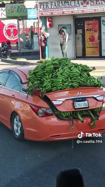 ¡Insólito! Auto sorprende a transeúntes al llevar enorme cantidad de plátanos verde en la maletera: "Tremenda fortuna"