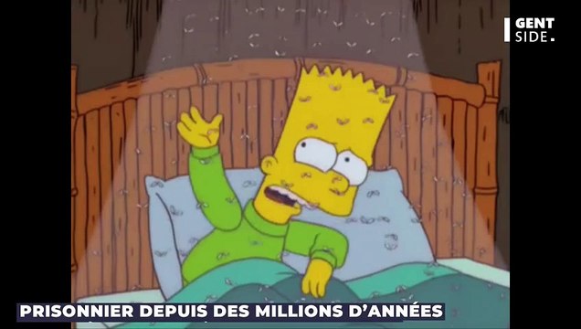 Des archéologues découvrent le plus ancien fossile de moustique