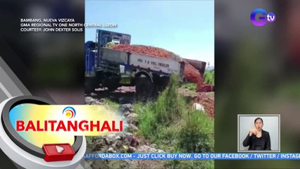 Isang truck ng kamatis, itinapon na lang dahil malapit nang mabulok | BT