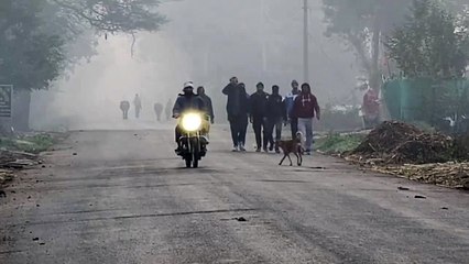 प्रदेश में आज भी कई जिलों में कोहरा