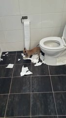 Clara crée ses propres confettis