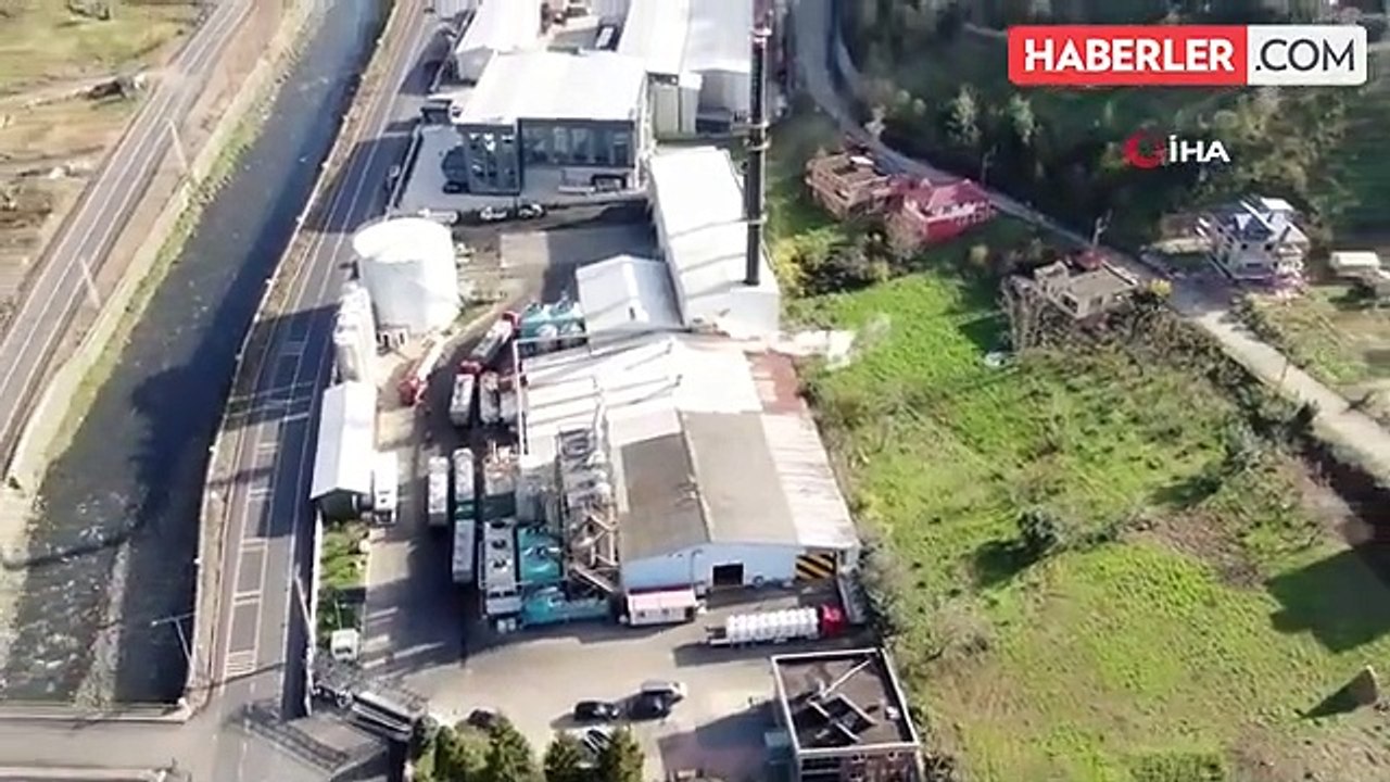 Trabzon'da balık fabrikaları nedeniyle Çarşıbaşı ilçesi hamsi kokuyor