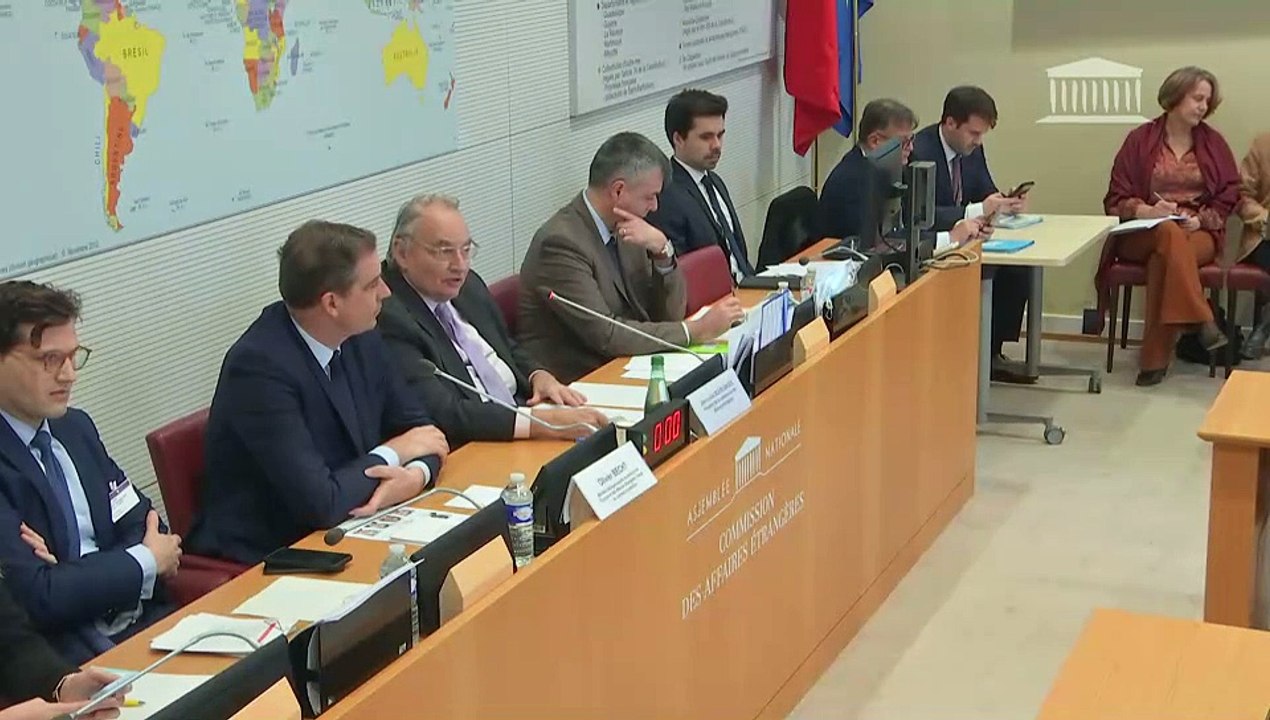 Commission des affaires étrangères : M. Olivier Becht, ministre délégué auprès de la ministre de l'Europe et des affaires étrangères - Jeudi 7 décembre 2023