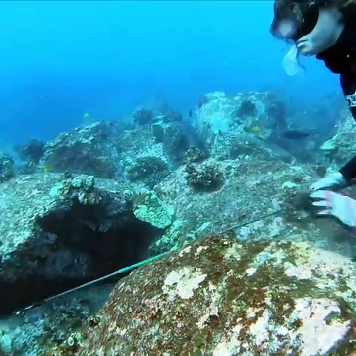 Girls Spearfishing in Hawaii video Dailymotion