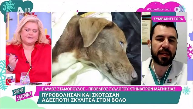 «Δεν μπορώ να συνεχίσω, συγνώμη» - Σοκαρισμένη η Κατερίνα Καινούργιου