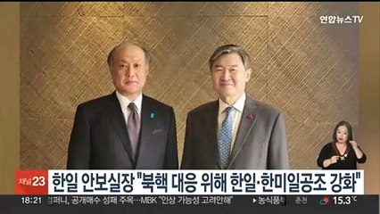 한일 안보실장 "북핵대응 한일·한미일 공조 강화"