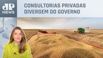 Kellen Severo: Conab mantém previsão de recorde para safra de soja 23/24