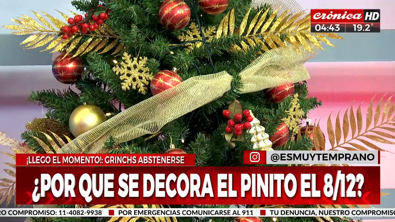 ¿Por qué armamos el arbolito el 8 de diciembre?...