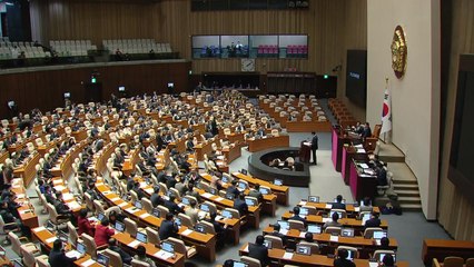 '주최자 없는 행사, 지자체장이 안전 관리'...이태원참사재발방지법 통과 / YTN