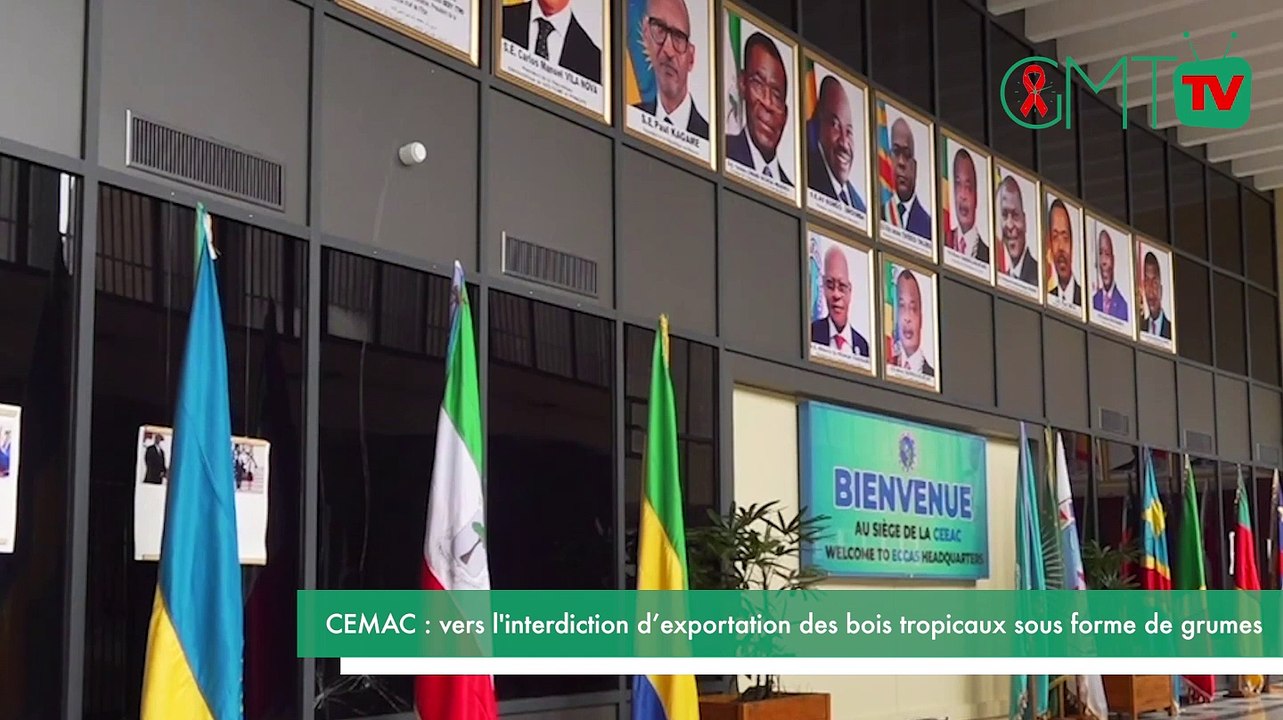 [#Reportage] CEMAC : vers l'interdiction d’exportation des bois tropicaux sous forme de grumes