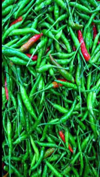 सेहत के लिए कौन सी मिर्च अच्छी है हरी या लाल #health