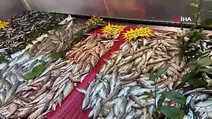 İstavrit 50 liradan tezgaha indi