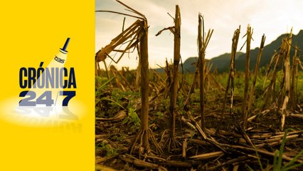 Episodio 102 | Ley de eutanasia, cambio climático y elecciones municipales 6 meses después