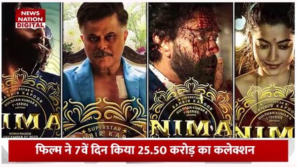 Animal Box Office Collection : फिल्म एनिमल ने तोड़ा इन फिल्मों की कमाई का रिकॉर्ड