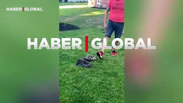 Kendisi ile dalga geçen adama verdiği ders ile viral olan dev yılan şaşırttı