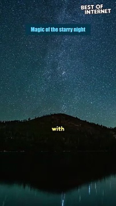 Starry Night: Best Perseid Meteor
