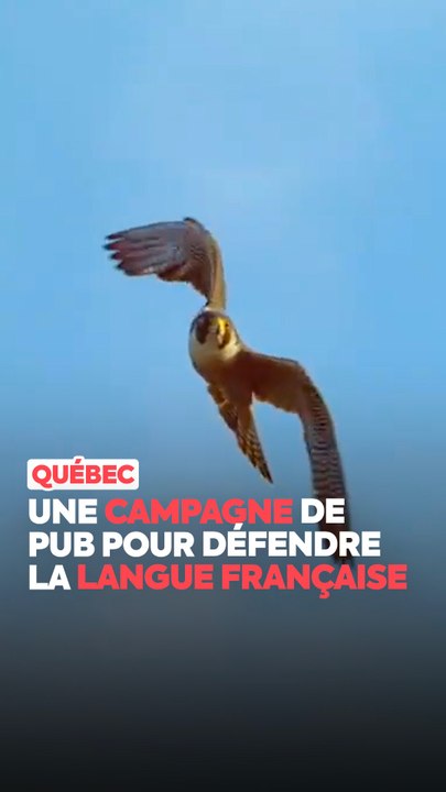 Une pub québécoise pour défendre la langue française