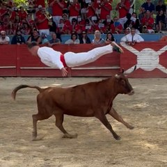 La course landaise, un spectacle taurin sans danger pour l'animal