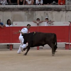 3 grands moments de la feria de la Pentecôte à Nîmes