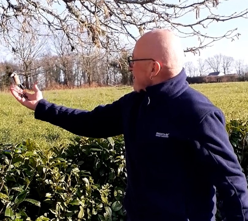 Philippe a apprivoisé des mésanges dans son jardin