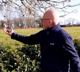 Philippe a apprivoisé des mésanges dans son jardin