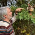 Sylvain fabrique des créatures et des décors à partir d'éléments trouvés dans la nature