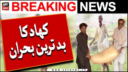 Worst fertilizer crisis ever - Big News