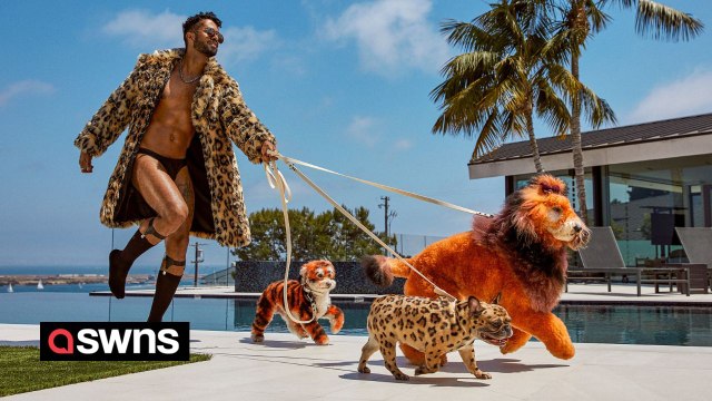 Dog groomer - I make $1.3m-a-year transforming pooches into foxes, giraffes and cheetahs