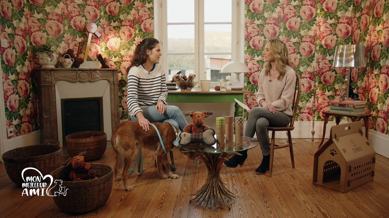 Mon meilleur ami - 9/12/2023 - La stérilisation