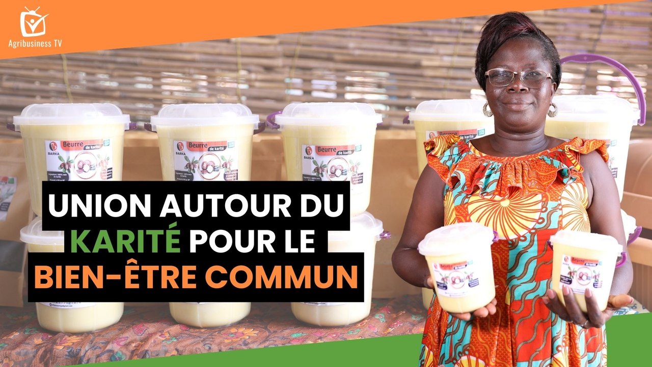 Burkina Faso : Union autour du karité pour le bien-être commun
