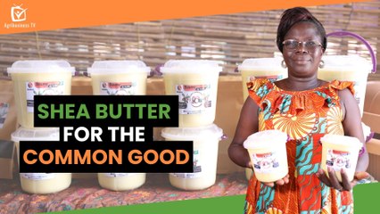 Burkina Faso : Shea butter for the common good